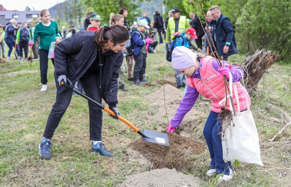 Wspólne działania dla przyszłości. Posadź drzewo, zmień świat